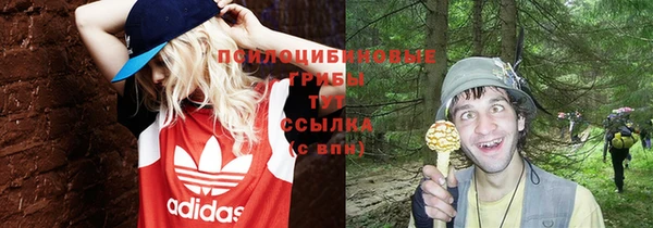 альфа пвп Липки