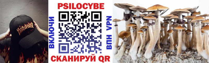 купить наркотики цена Алагир Галлюциногенные грибы Psilocybine cubensis