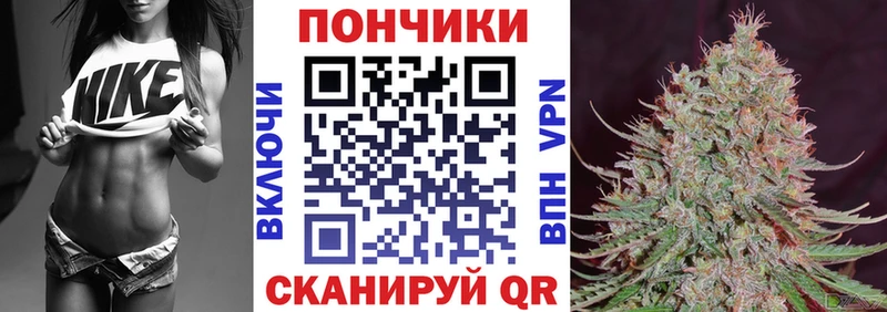 дарнет шоп  Алагир  Бошки марихуана индика 